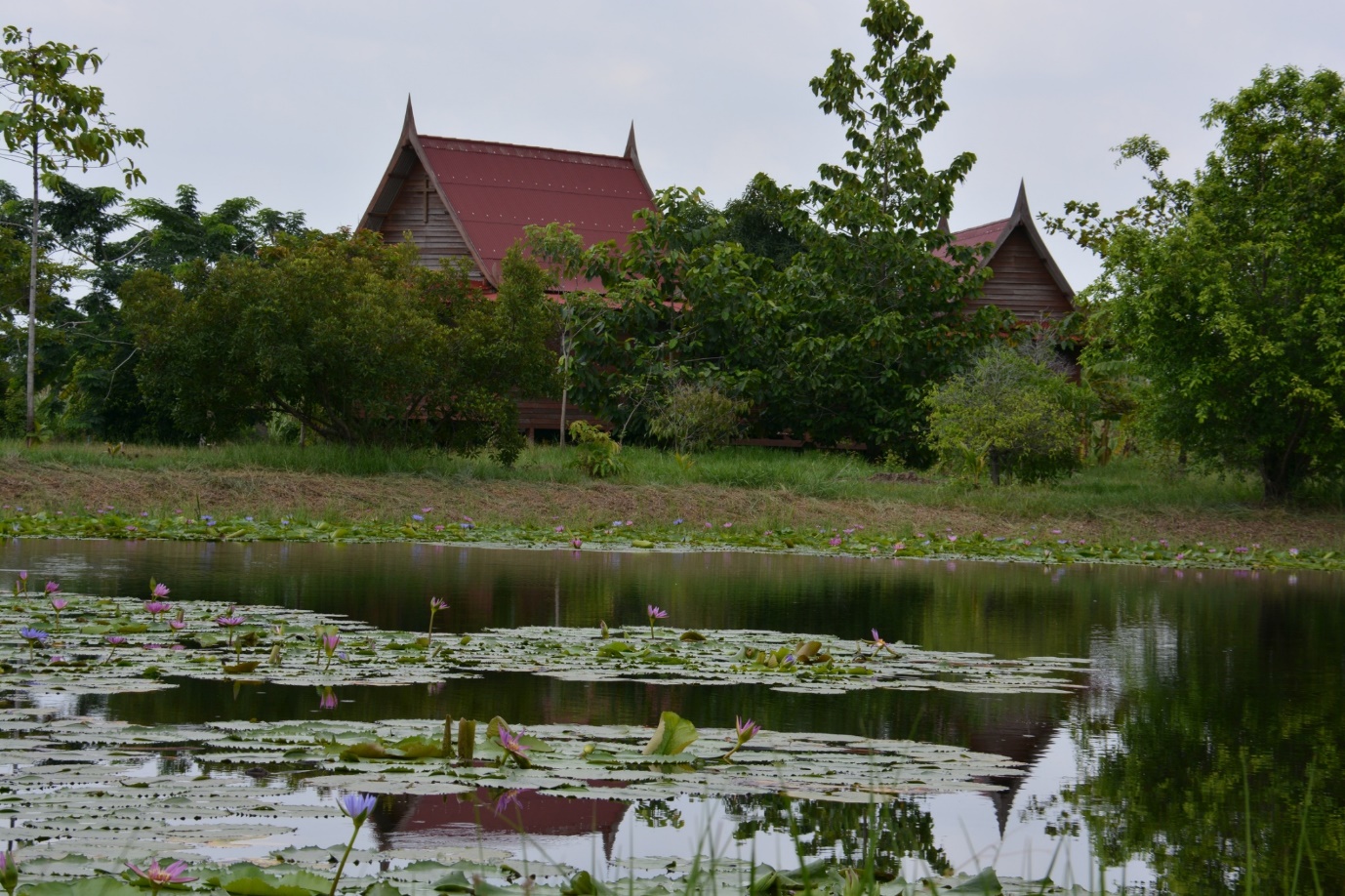 2. บ้านสันติวนา กรุงเทพฯ